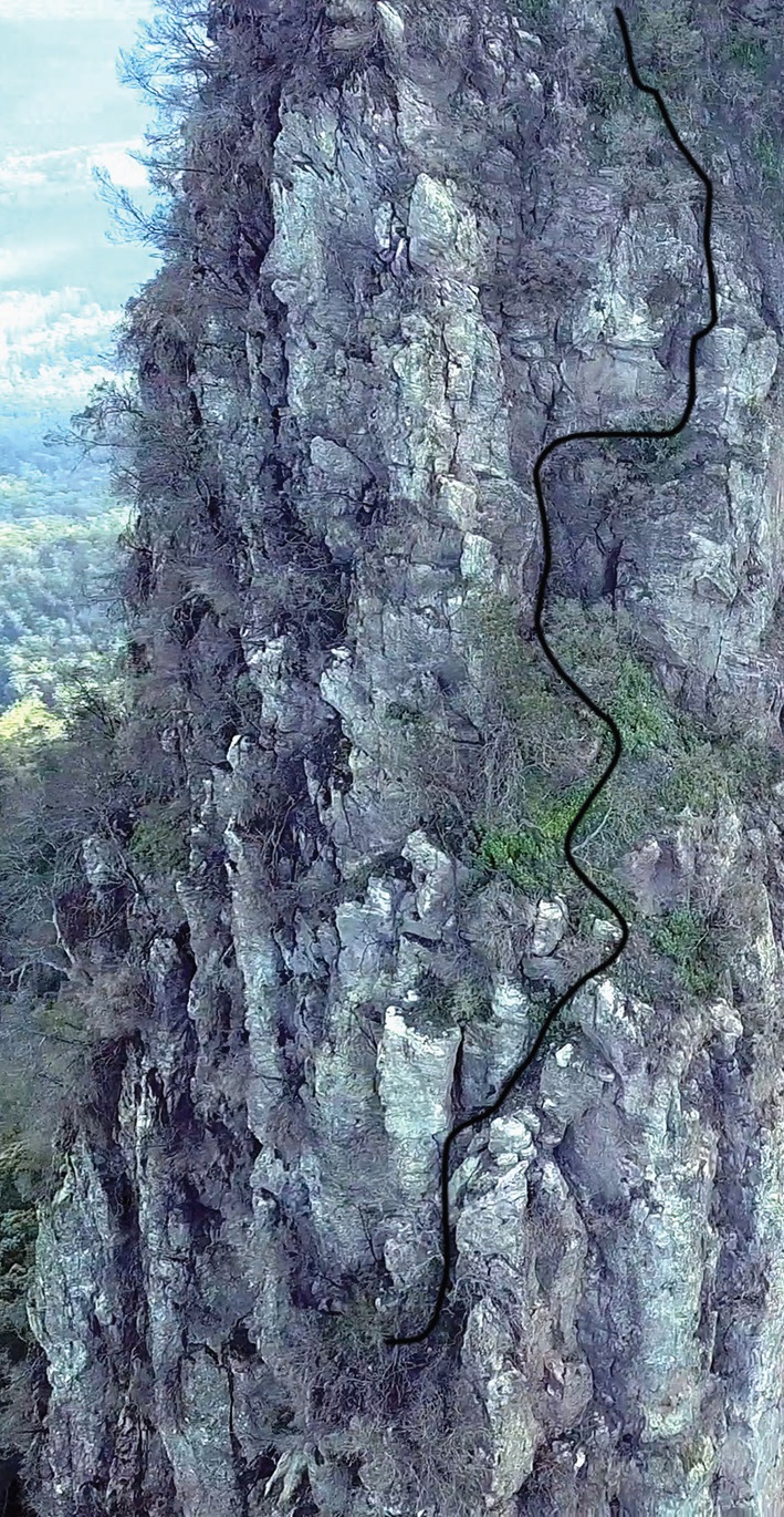 The climbing route up Mount Lindesay