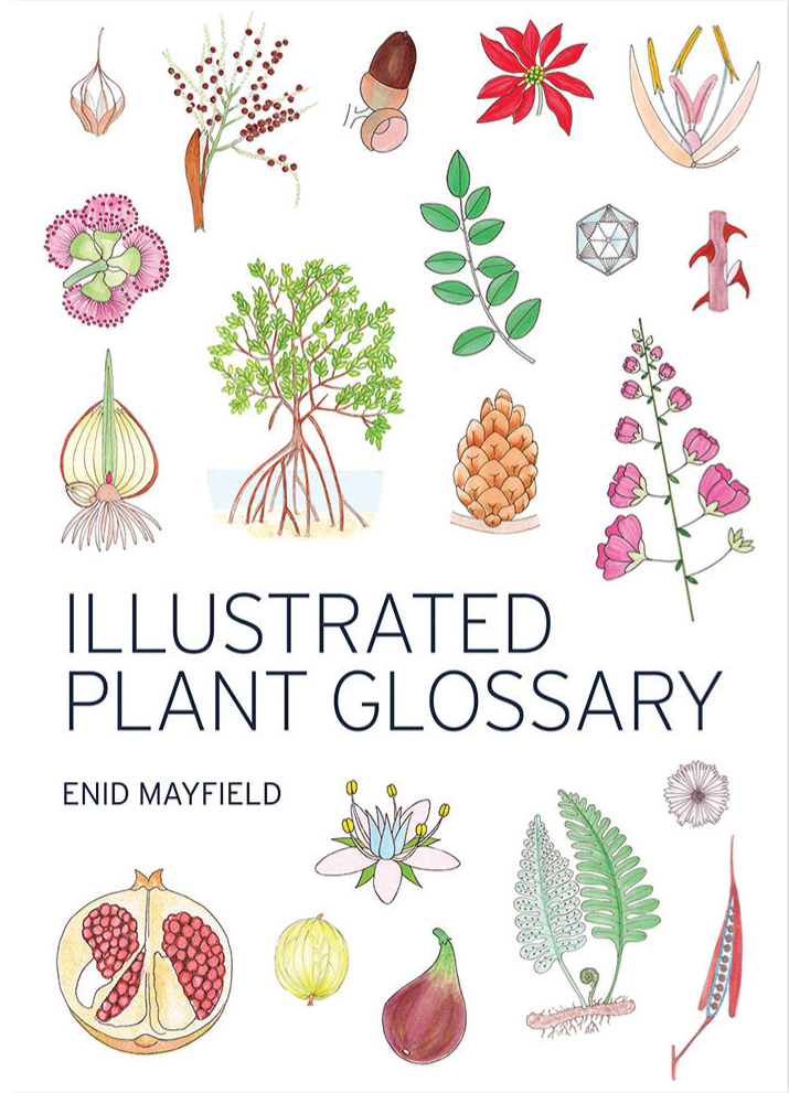 NPQ Book Review Illustrated Plant Glossary