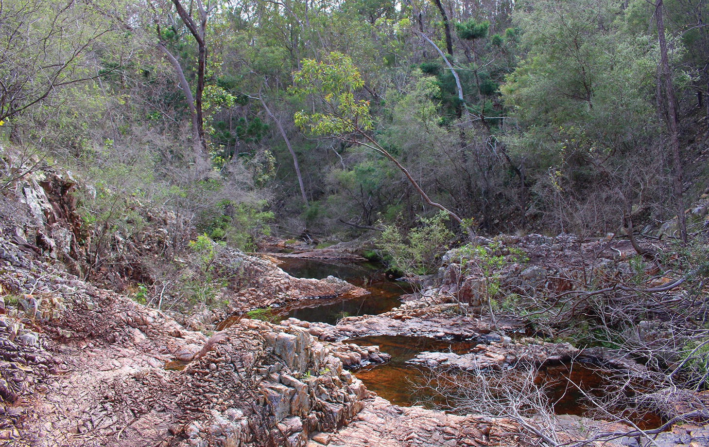 The main gully with waterholes and small waterfalls