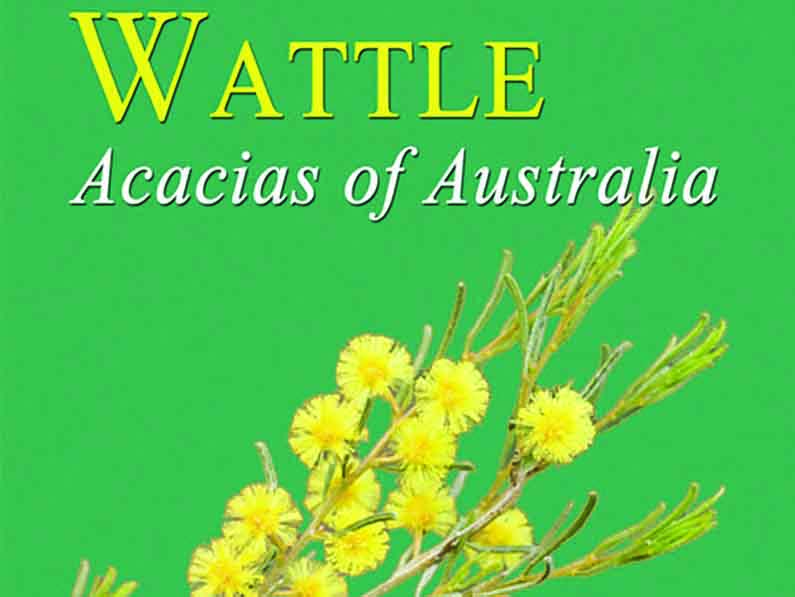 Wattle: Acacias of Australia