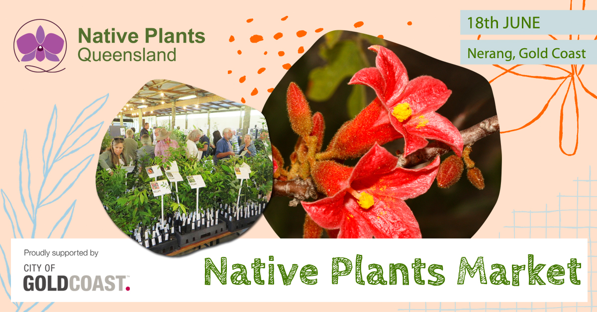 Gold Coast Native Plants Market